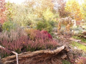 Piękno jesieni w ogrodzie